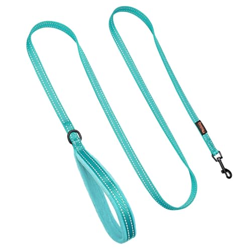 Didog Leash in 5/8''x 6 FT, Teal