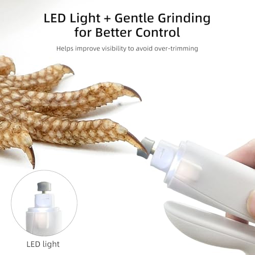 Lyrzzey Pet Supplies in White