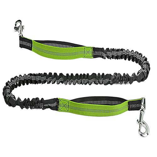 SIAELT Leash in 4ft, Green 218