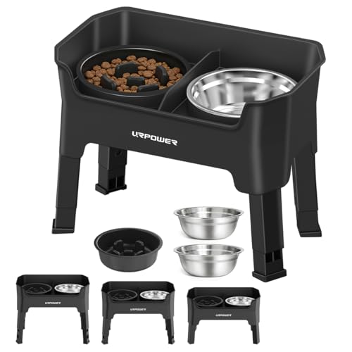 URPOWER Pet Feeder in Small, Black