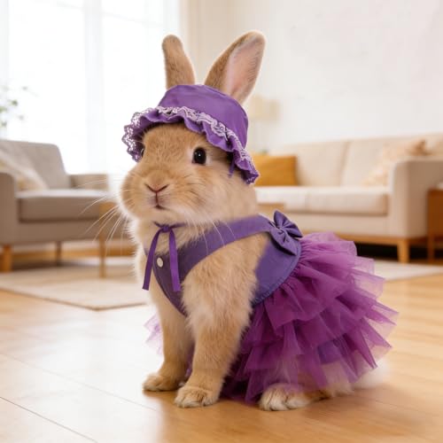 apott Pet Apparel in Small, Purple
