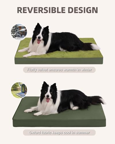 KSIIA Pet Bed Mat in 35.0"L x 22.0"W x 3.0"Th, Green