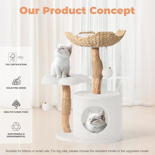 Easyego Pet Activity Structure in 26.3'', White