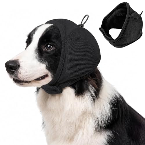 DORA BRIDAL Pet Apparel in S, Black