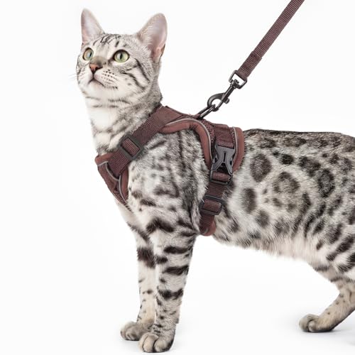pangdi Animal Harness in Small, Brown