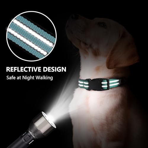 Hikiko Animal Collar in Small, Sky Blue