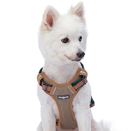 Blueberry Pet Animal Harness in Small, Dark Green&Pink