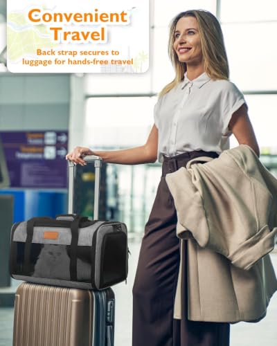 Petux Animal Carrier in 17.0"L x 11.0"W x 9.5"H, Grey