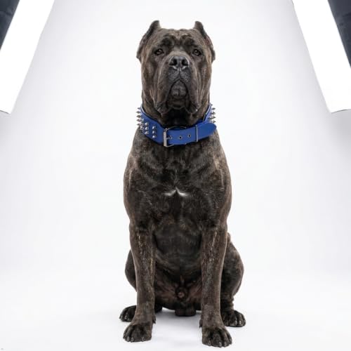Molteriqo Animal Collar in 2XL-neck 57-65cm, Blue
