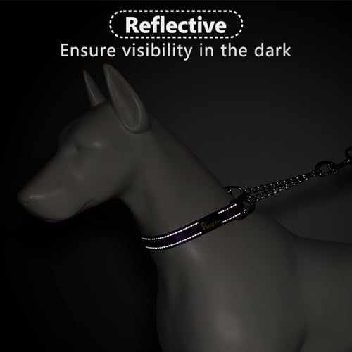 PLUTUS PET Animal Collar in Small, Purple