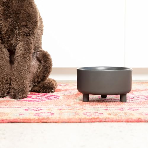 Waggo Pet Feeder in Medium(2-Pack), Black