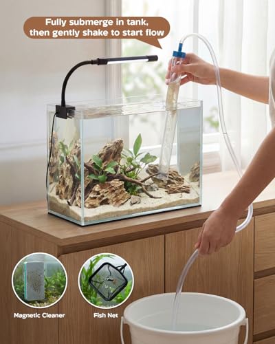 minilake Vivarium in 3 Gallon, Transparent