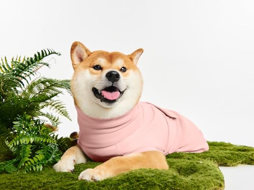 Haloumoning Pet Apparel in X-Small, Pink