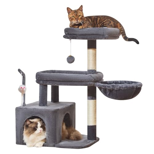 Taoqimiao Pet Activity Structure in L, Smoky Gray