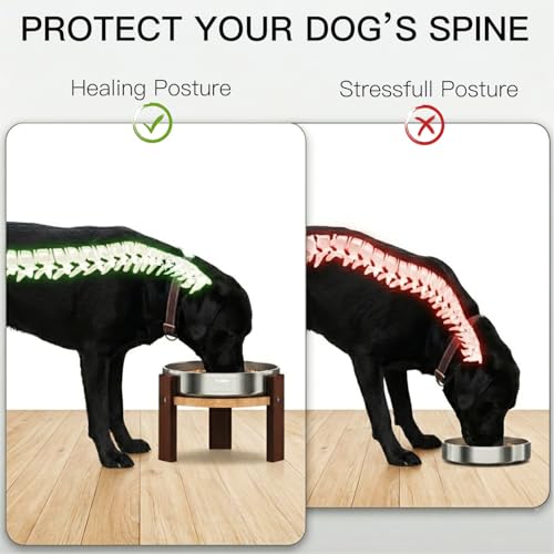 Feedoo Pet Feeder in 4'' Height Stand, 4" Height 1Cup Slow Feeder