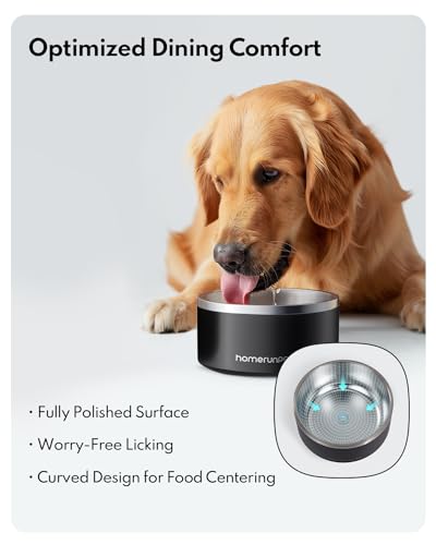 HomeRunPet Pet Feeder in 1L, Steel Blue