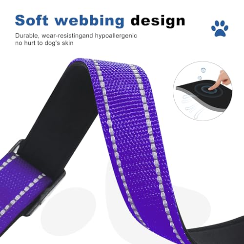 GDLKPS Animal Collar in XS:3/4" Wide for 11.5"-13.5" Neck, Purple