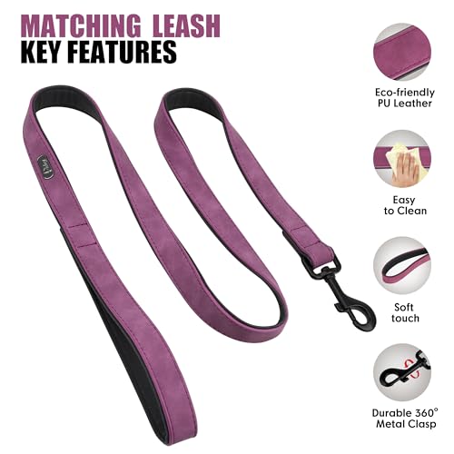 Didog Animal Collar in M: Fit Neck 11-14"(10-20 lbs), Purple Set