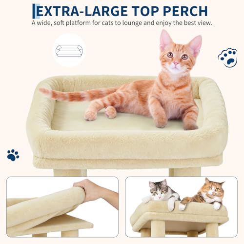 OUTLANE Pet Activity Structure in Beige, Beige