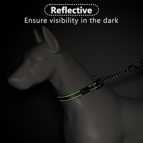 PLUTUS PET Animal Collar in Small, Lime Green