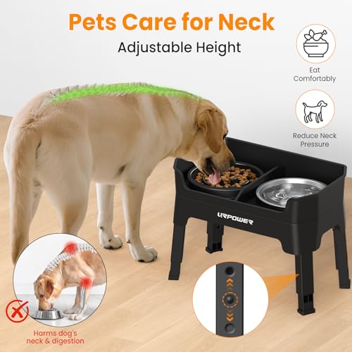URPOWER Pet Feeder in Large, Matte Black