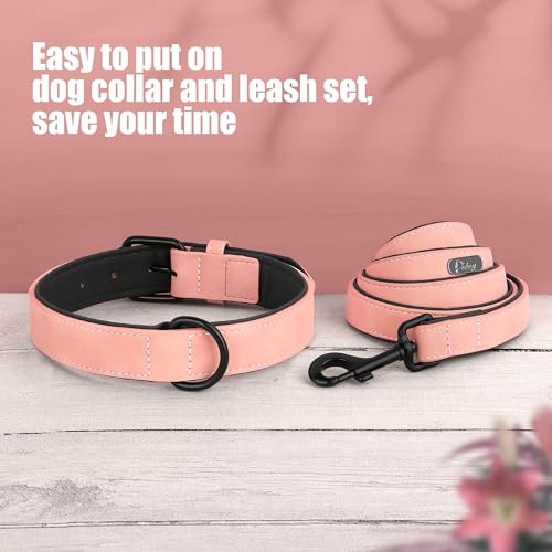 Didog Animal Collar in M: Fit Neck 11-14"(10-20 lbs), Pink Set