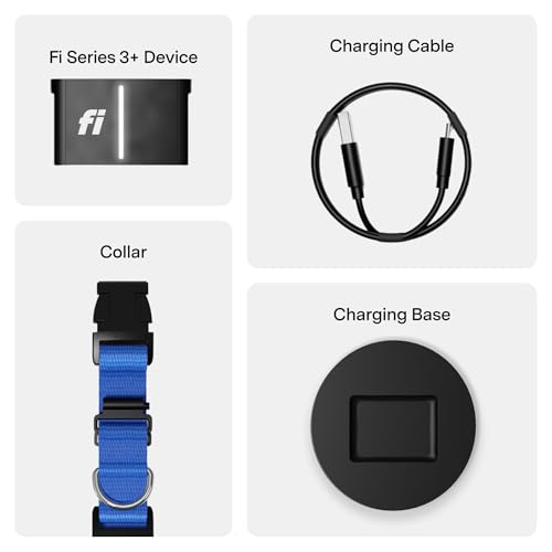Fi Location Tracker in X-Small, Blue