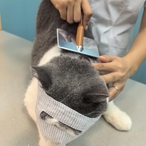 FDANDADE Pet Supplies in S, Open-eyes