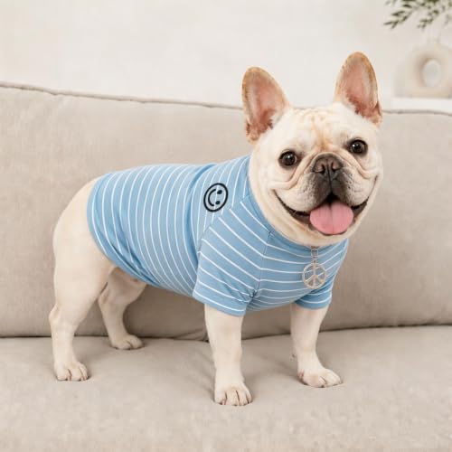 Wiz BBQT Pet Apparel in Pet XS - Chest 11.8", Blue