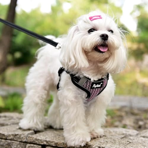 PUPTECK Animal Harness in S (13-17lbs, Chest 15"-18"), #1 LightPink(Breathable Mesh)