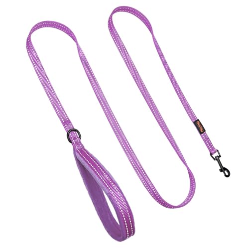 Didog Leash in 5/8''x 6 FT, Purple