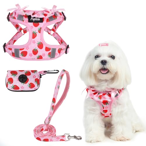 PUPTECK Animal Harness in XS (9-13lbs, Chest 14"-16"), #2 Pink(Strawberry Print)