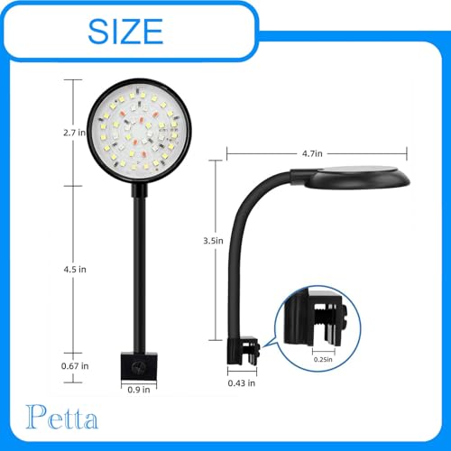 Petta Lamp in Black