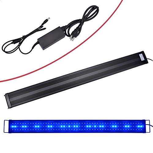 KZKR Lamp in Blue and White 48-60 inch, Blue,White