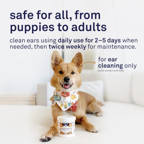 Petpost Pet Supplies in Regular, Ear