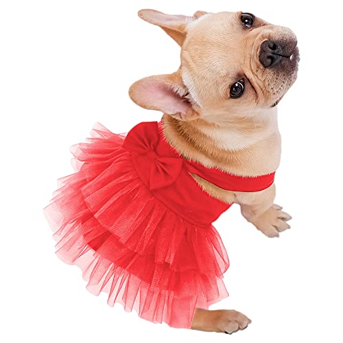 apott Pet Apparel in Small, Red