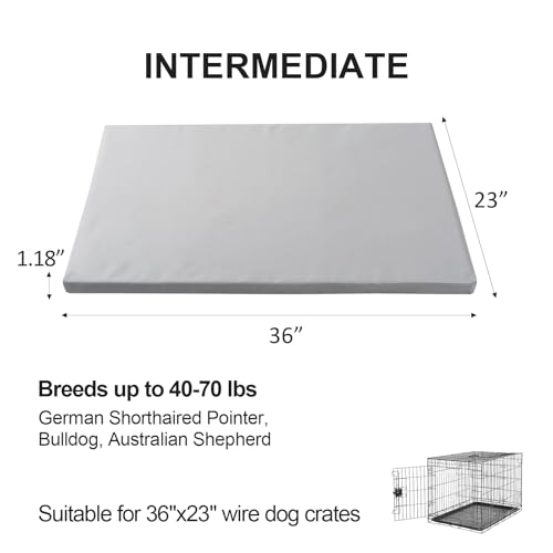 Liliowons Pet Bed Mat in 36"L x 23"W, Gray