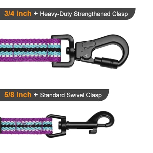 Didog Leash in 3/4''x 6 FT, Mixed-Blue