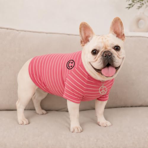 Wiz BBQT Pet Apparel in Pet XS - Chest 11.8", Pink