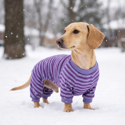 Fitwarm Pet Apparel in X-Small, DarkViolet