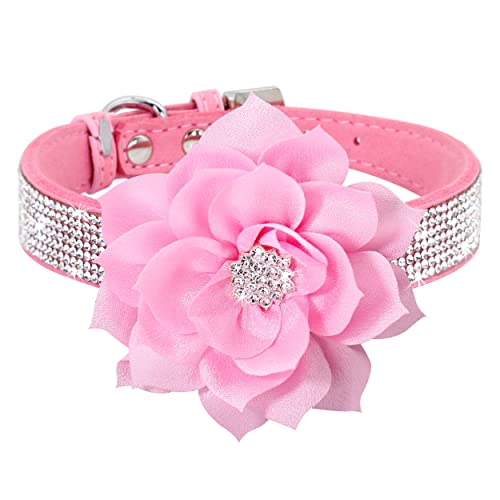 PET ARTIST Animal Collar in S:Neck 10-12"(7-15 lbs), Black