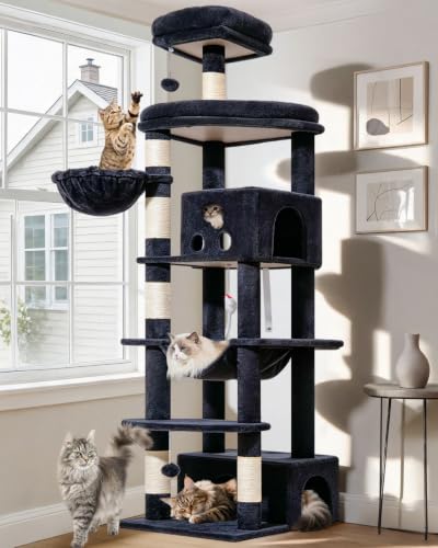 Taoqimiao Pet Activity Structure in 79 inch, Smoky Gray