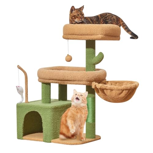 Taoqimiao Pet Activity Structure in L, Cactus