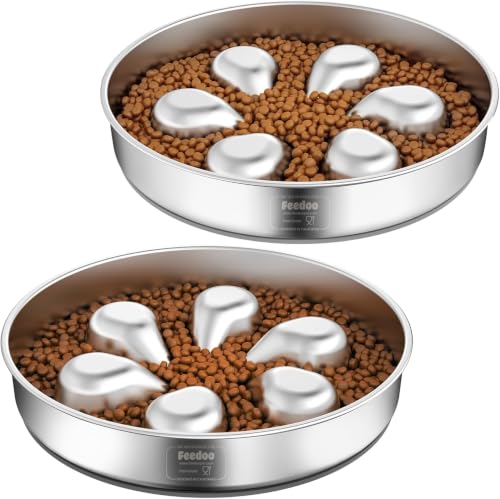 Feedoo Pet Feeder in L 3.5-Cup, Flower-2Pack