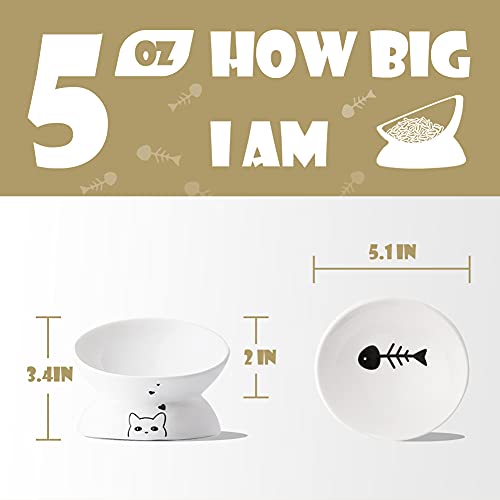 Sweejar Home Pet Feeder in 5 Inch, White