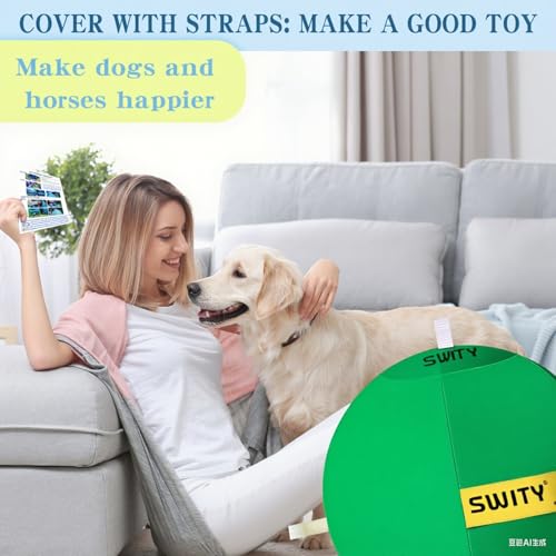 SWYIVY Recreation Ball in 25", Blue & Green Straps Ball Cover Kit + Ball