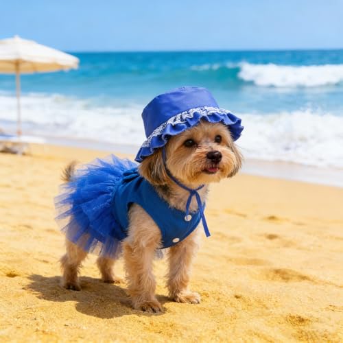 apott Pet Apparel in Small, Blue