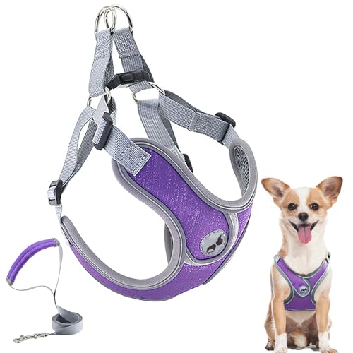 SAEGYPET Animal Harness in XS, Purple