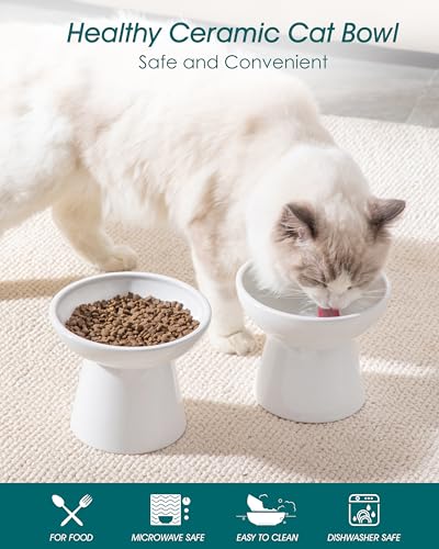 vancasso Pet Feeder in 2 Pack-Food & Water Bowls, White