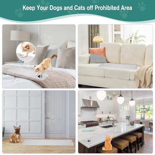 SEERWAY Pet Supplies in 22"x 14" Small, Transparent